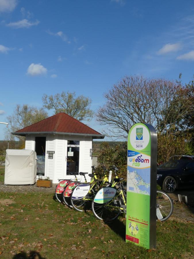 Landhaus Am Haff Stolpe auf Usedom Eksteriør billede